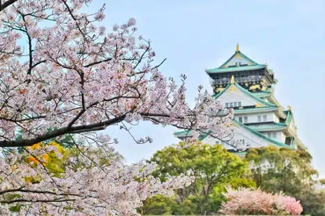Planifica tu próximo viaje a Japón con paquetes de viaje a medida