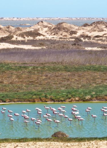 Puerto Sandwich, Namibia
