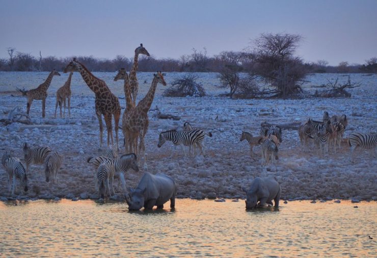 Okaukuijo Waterhole en el Parque Nacional de Etosha