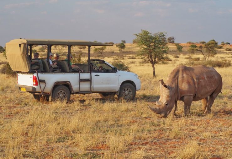 Rhino en Bagatelle Kalahari Game Ranch