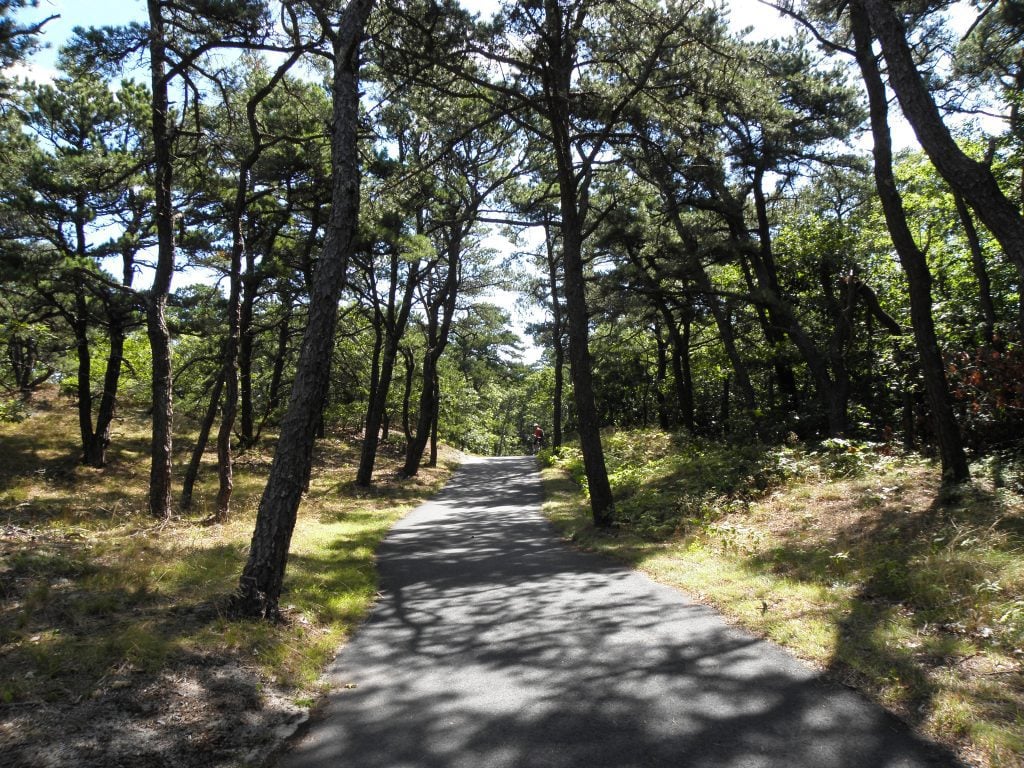 A paved trail through a wooded area.
