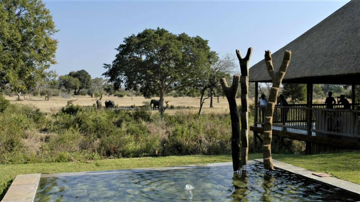 Vista del pozo de agua y los elefantes que lo rodean desde el área principal del albergue.