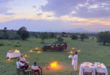 Caza salvaje en Kenia: cenas de safari en África Oriental