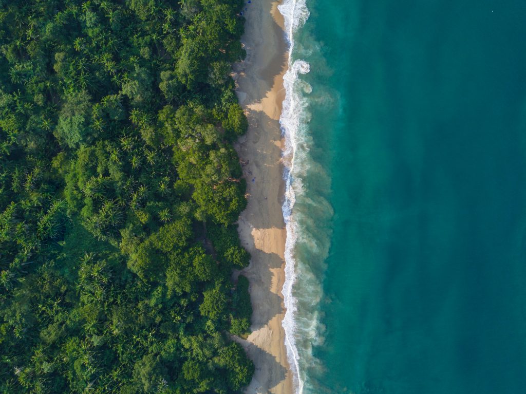 An Aerial shot with jungle on one side and a thin beach and teal ocean on the other.