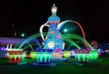 Dubai Garden Glow: ¿por qué y cuándo debería visitarlo?