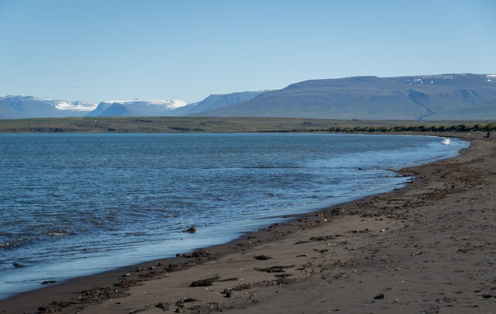 A black sand beach with calm blue water, snowy mountains in the background.