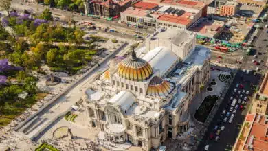 Explore la Ciudad de México en un recorrido a pie para grupos pequeños