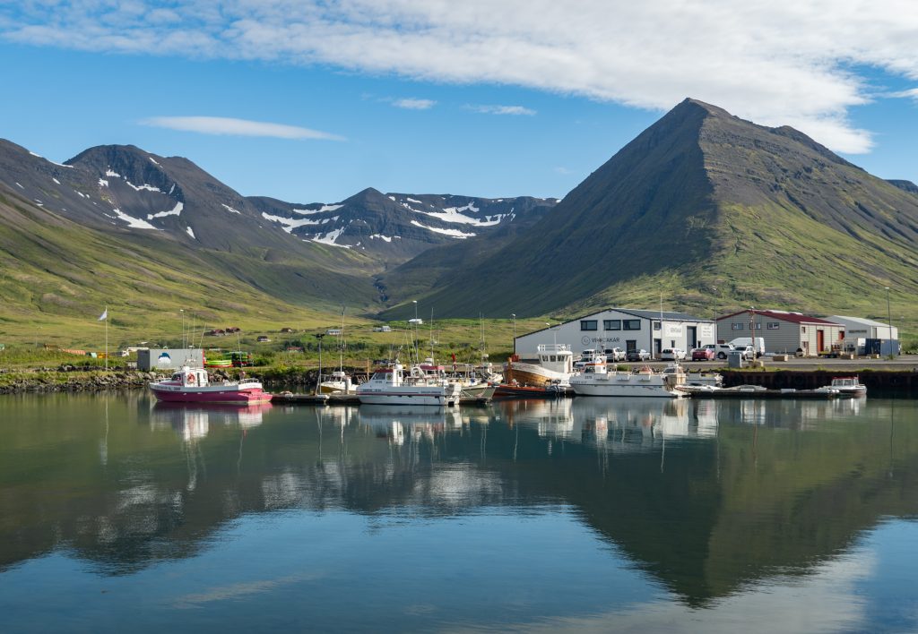Small fishing boats docked in a calm fjord, green mountains rising up behind them.