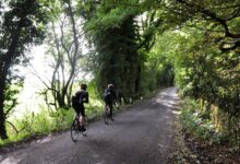 Ciclismo por los caminos forestales de Cotswolds