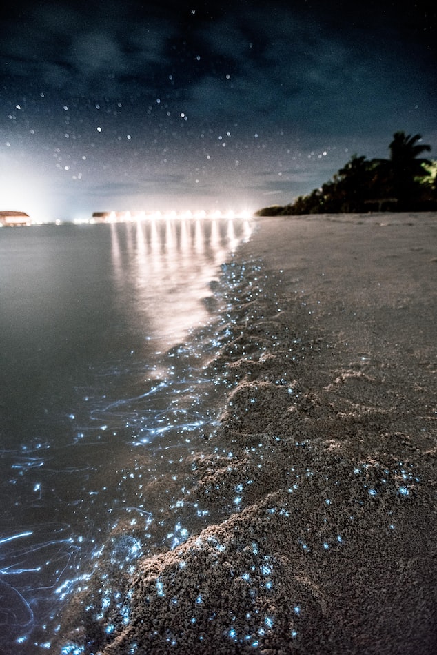 playa luminosa, Maldivas
