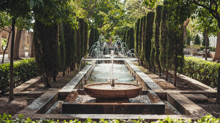 CASCO ANTIGUO DE PALMA
