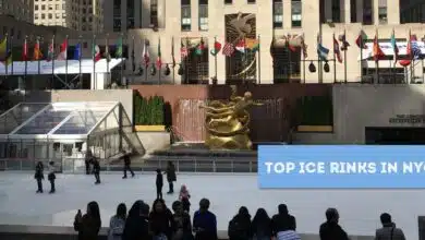 ▷ Las 10 mejores pistas de hielo de la ciudad de Nueva York [2022 UPDATE] ❄️ Guía completa