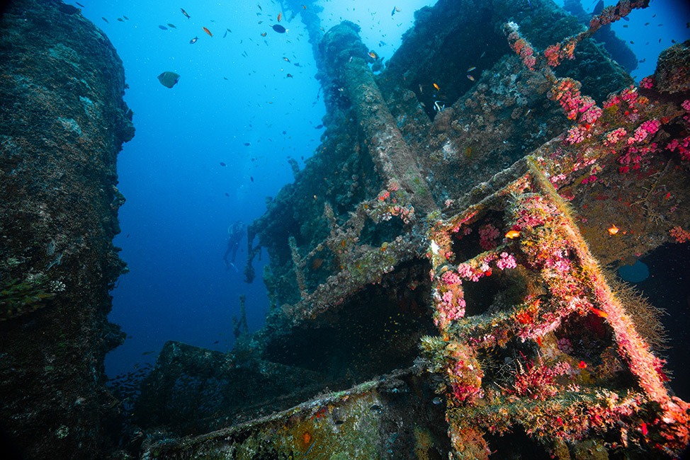 Shipwreck covered in coral reef, Maldives