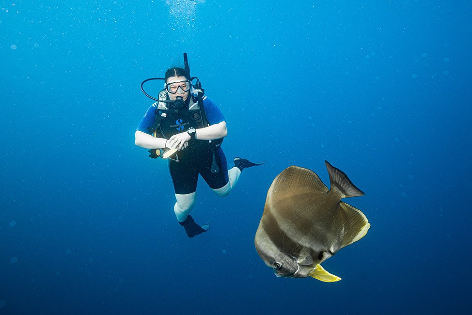 Scuba diver posing with Angel Fish, Maldives