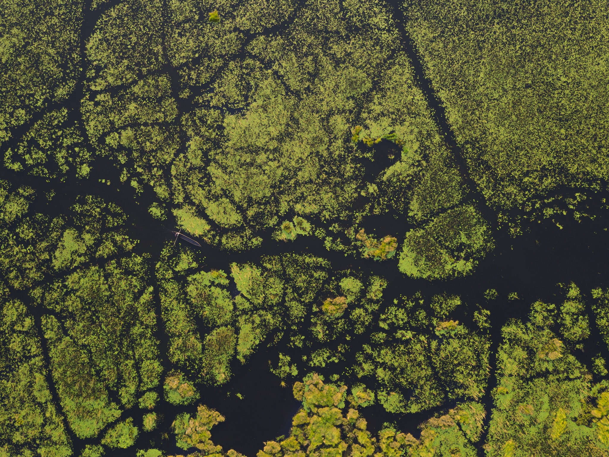 Embalse del delta del Okavango - eine Drohnenaufnahme
