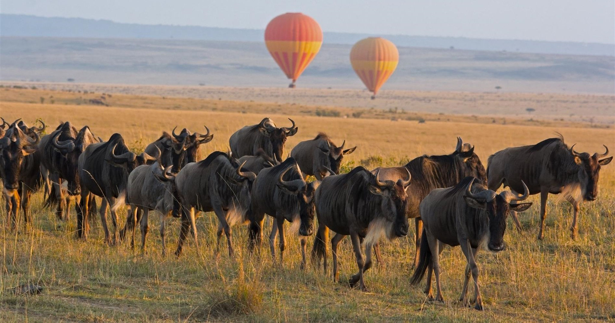 Paseo en globo aerostático en Kenia