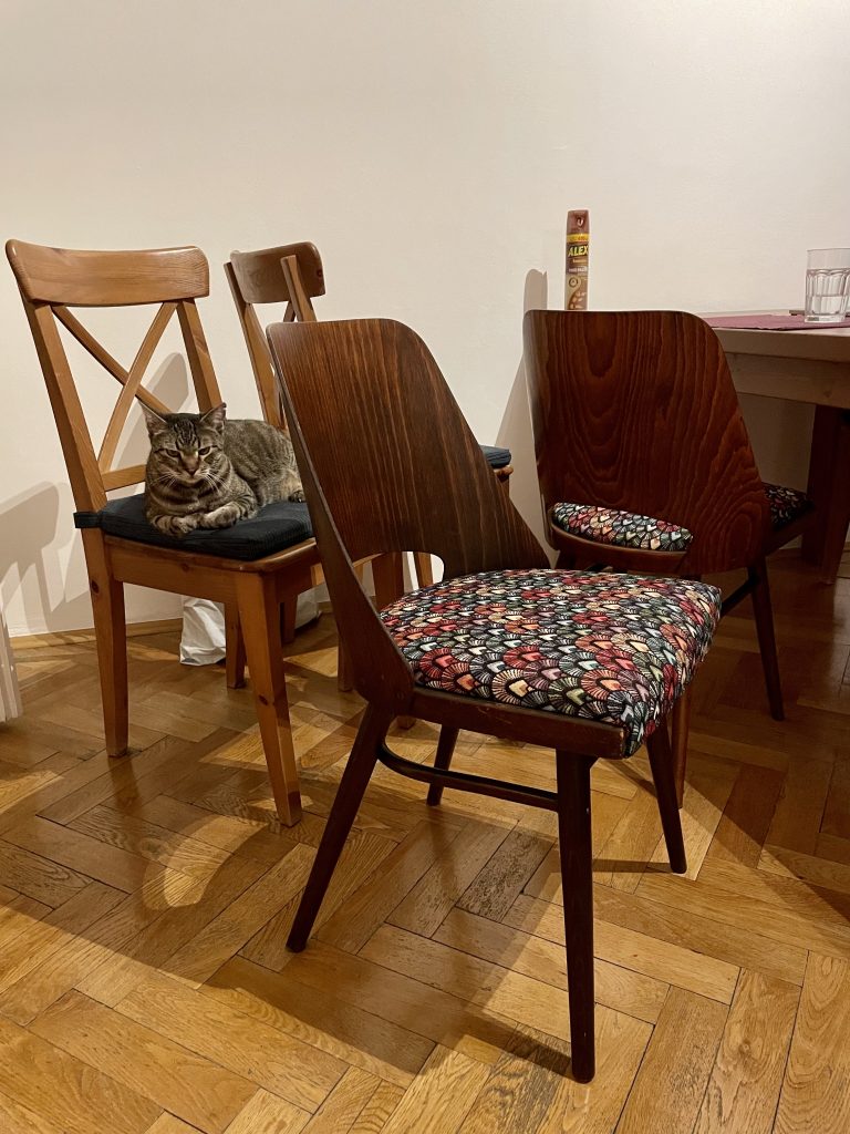 A dark gray cat sitting on a boring wooden chair next to two funky dark wood chairs with rounded tops, a small opening in the back, and cushions covered in a wild jewel-toned geometric pattern.
