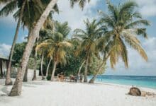 Lista de los mejores operadores turísticos en Maldivas [Updated 2023]