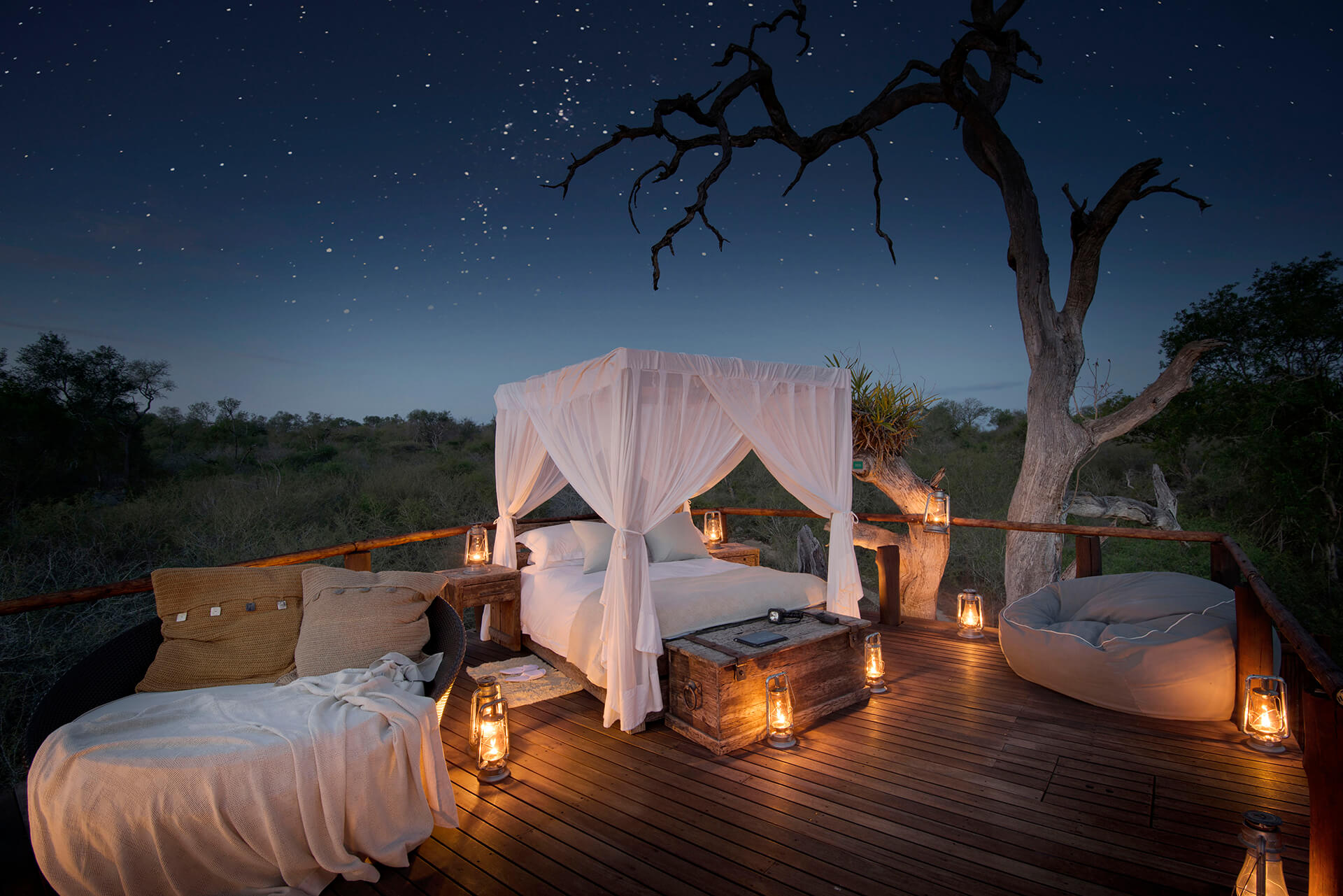 Romance y aventura en África - Tree House en Lion Sands