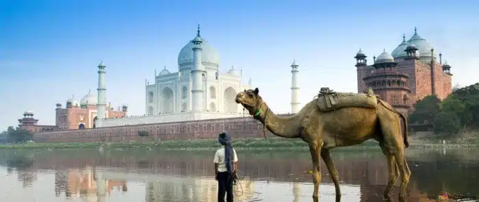 India-templo-camello