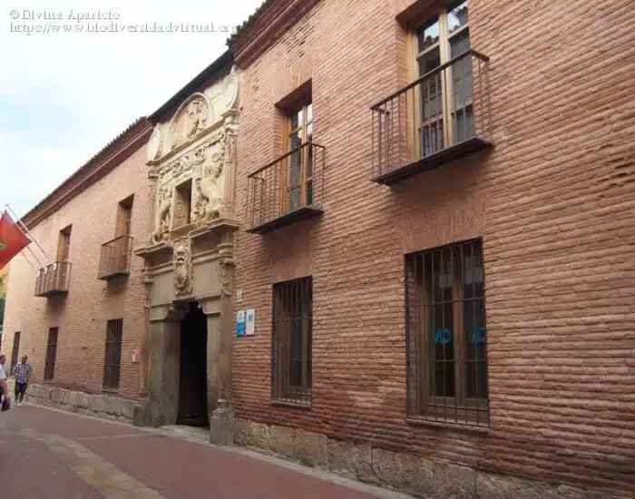 Casa de los Lizana de Alcalá de Henares