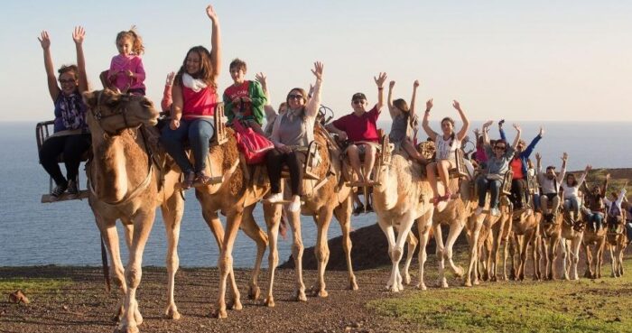 Parque Safari en Camello La Lajita