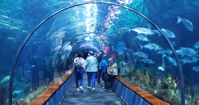 acuario-Tenerife Loro Parque