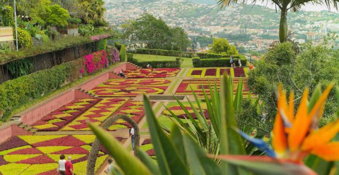 El Jardín Botánico de Madeira