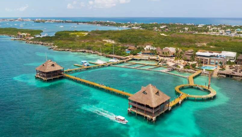 Diversión en Dolphin Discovery