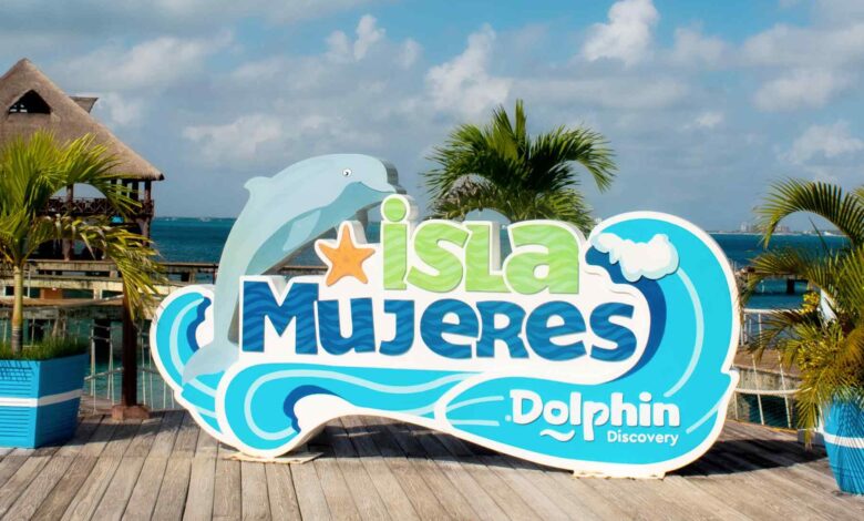 Diversión para Toda la Familia en Dolphin Discovery