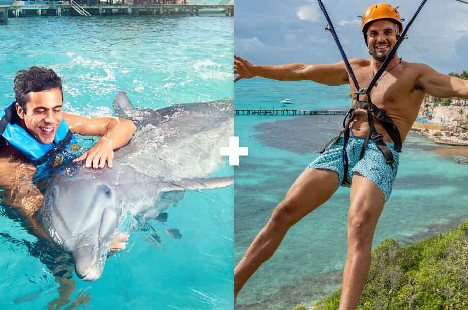 visita y delfines en Dolphin Discovery