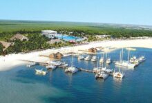 Actividades que Dolphin Discovery tiene para ti en Playa del Carmen