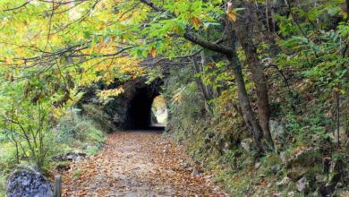 Disfruta la Senda del Oso en bici con TeverAstur