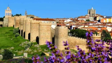 gastronomía y turismo rural en Ávila