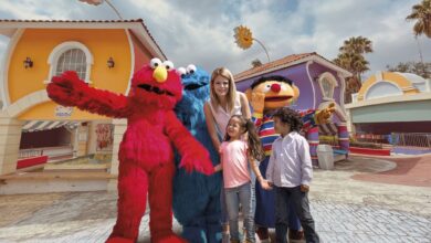 ¿Qué hacer en Guadalajara Visita Selva Mágica, el parque temático imperdible.