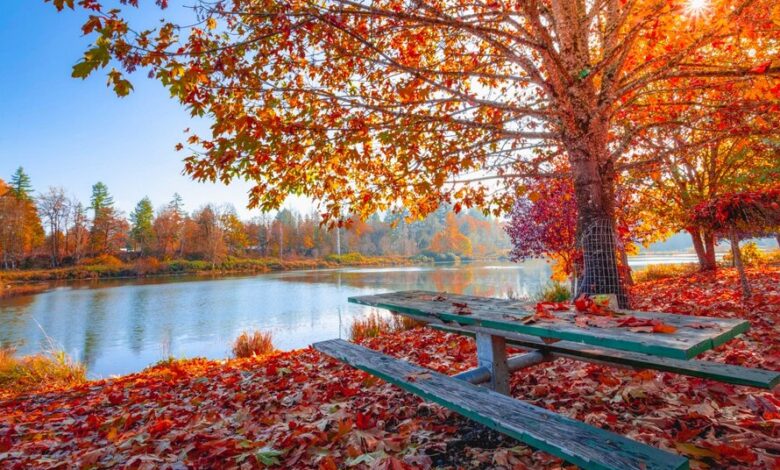 marbella en otoño