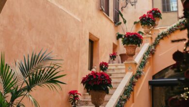 Navidad en Posada Terra Santa Elegancia en el corazón de Palma