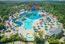 Qué hacer en Cozumel con niños