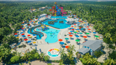 Qué hacer en Cozumel con niños