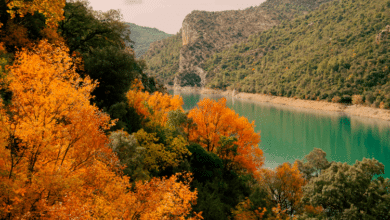 7 ventajas de viajar en otoño