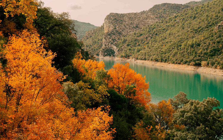 7 ventajas de viajar en otoño