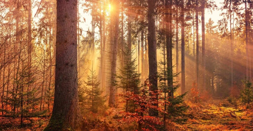 consejos para viajar en otoño