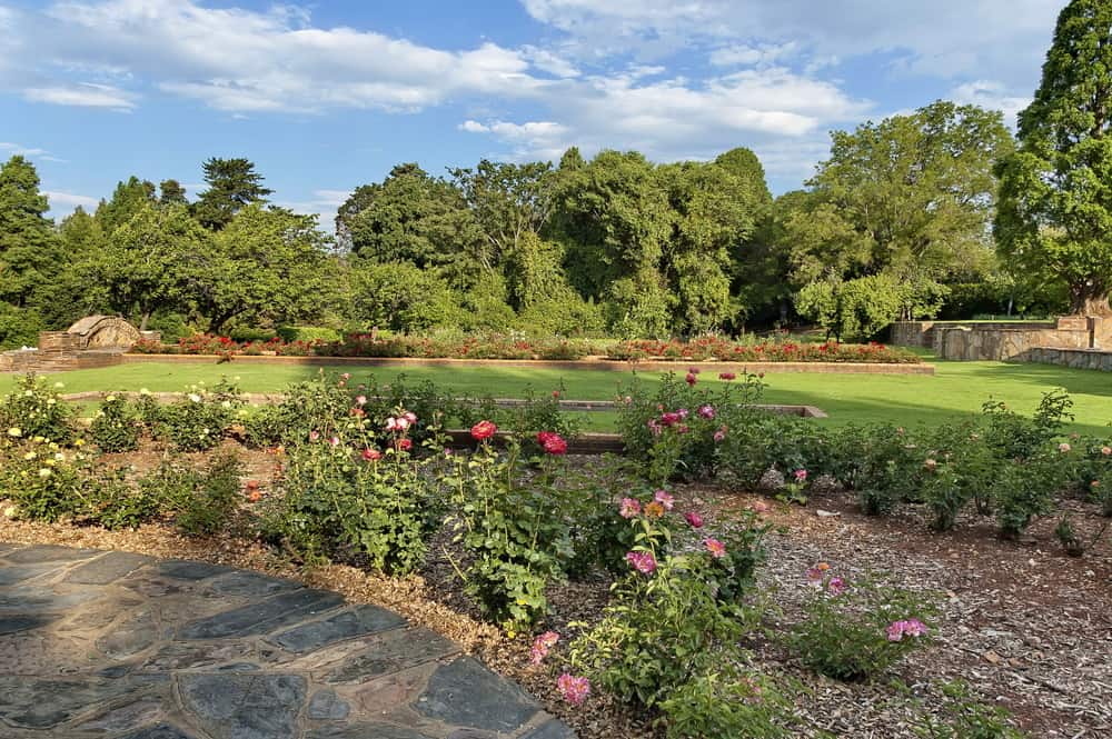 Jardín Botánico de Johannesburgo
