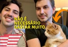 Cómo viajar a EE.UU. con tu gato en 2022